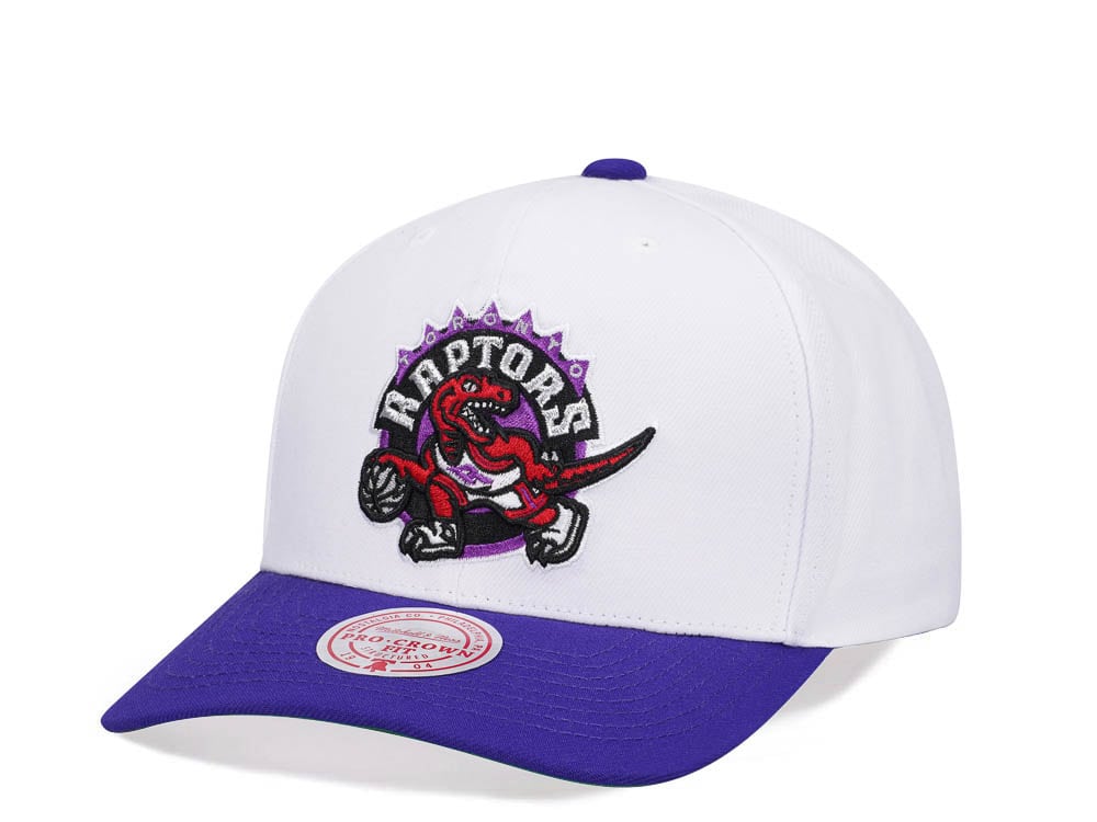 Mitchell & Ness Toronto Raptors Team Two Tone 2.0 Pro Snapback Cap