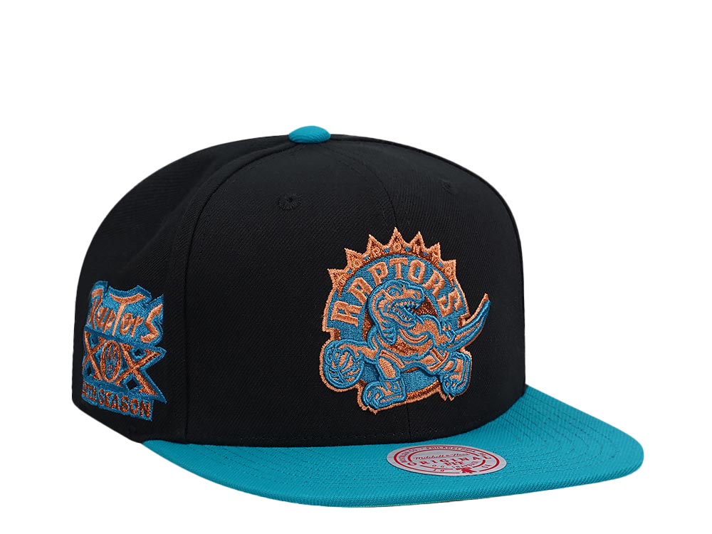 Mitchell & Ness Toronto Raptors 20th Anniversary Make Cents Black Two Tone Hardwood Classic Snapback Cap